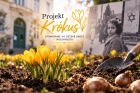 Projektu Krókus - foto