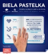Biela pastelka - foto