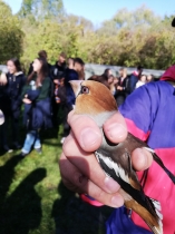 Návšteva Ornitologického stacionára v Drienovci - foto