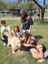 Kilometre pre zdravie, kroky pre šťastné labky - foto