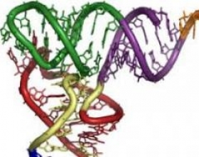 Vybrané témy z evolučnej biológie - foto